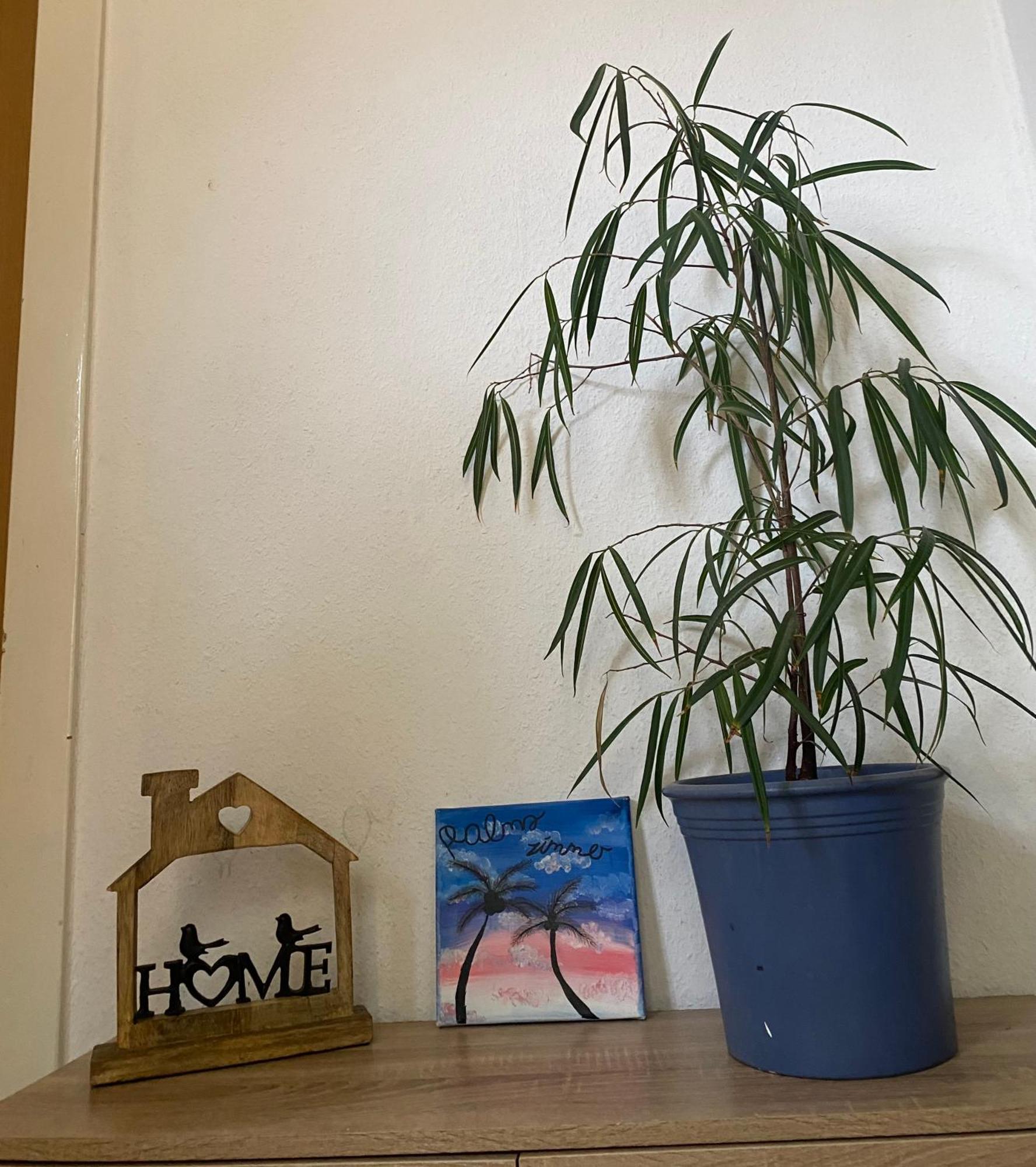 Palms Zimmer Frechen Luaran gambar